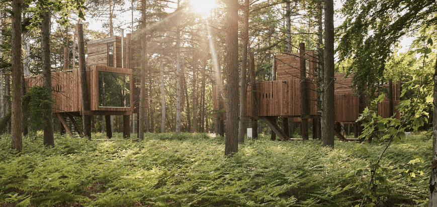 Landal GreenParks Tree Houses in a forest setting